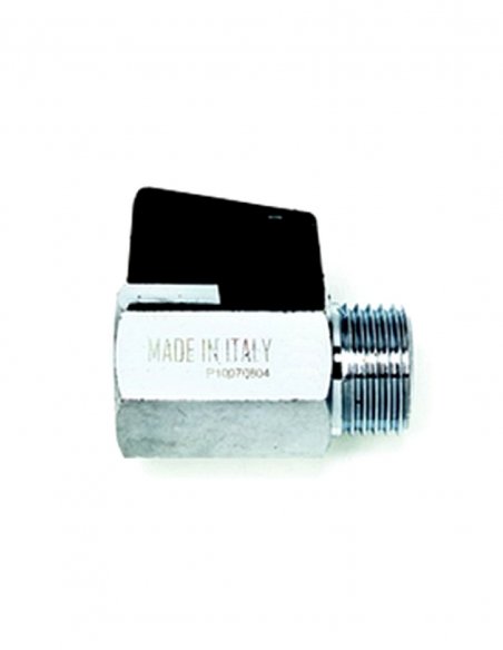 Grifo Macho / Hembra de 1/2