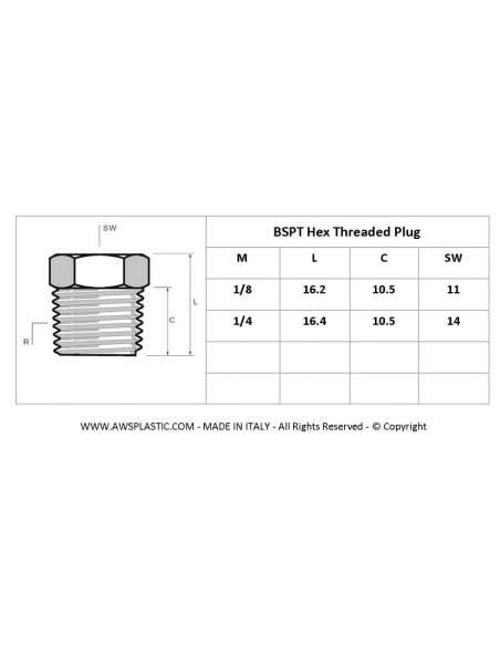 Polyketone 1/8 BSPT Hex Threaded Plug